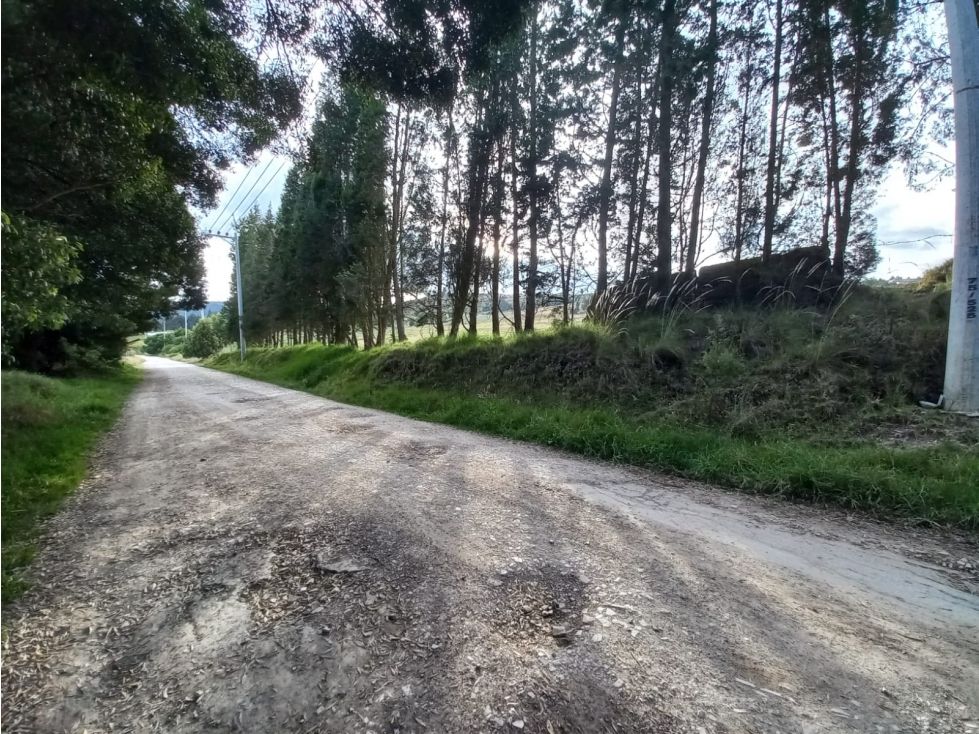Lote en venta Boyacá Oicatá Oicatá 1330 m2 Habitaciones 0 Baños 0 Garajes 0 Precio $70000000