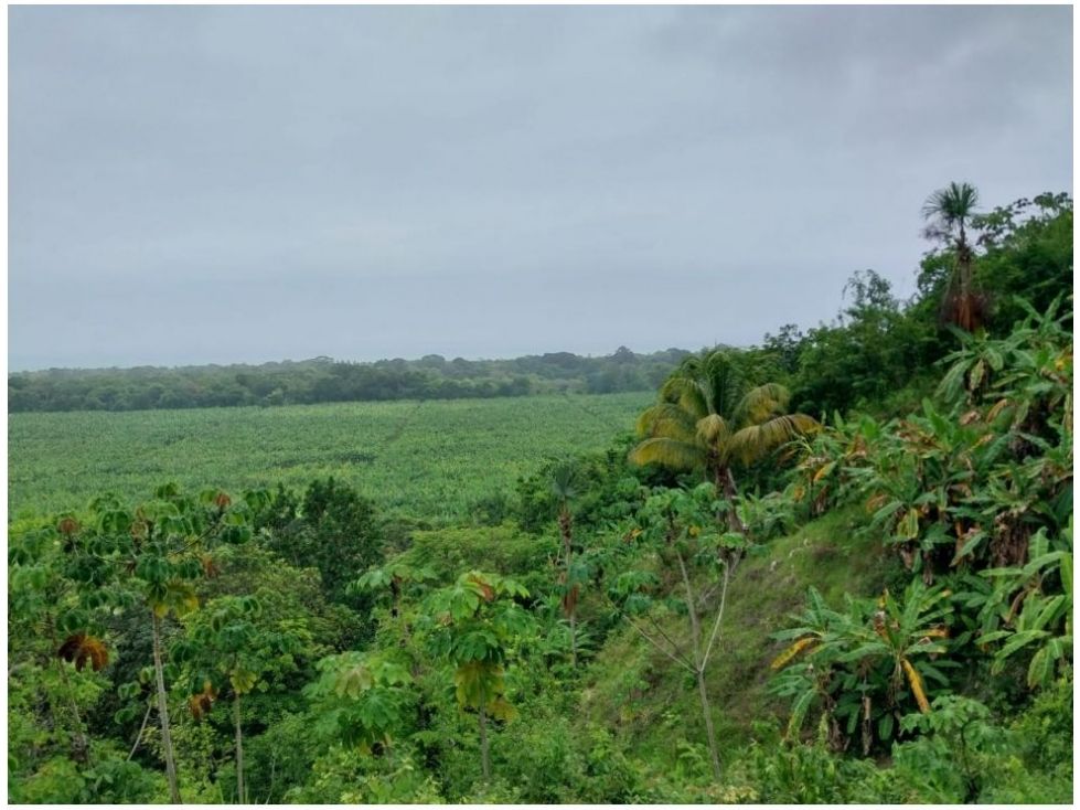 Finca en venta Magdalena Santa Marta Santa Marta 100000 m2 Habitaciones 0 Baños 0 Garajes 0 Precio $1600000000