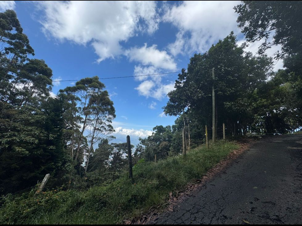 Lote en venta Antioquia Envigado La Mesa 16619 m2 Habitaciones 0 Baños 0 Garajes 0 Precio $3988560000