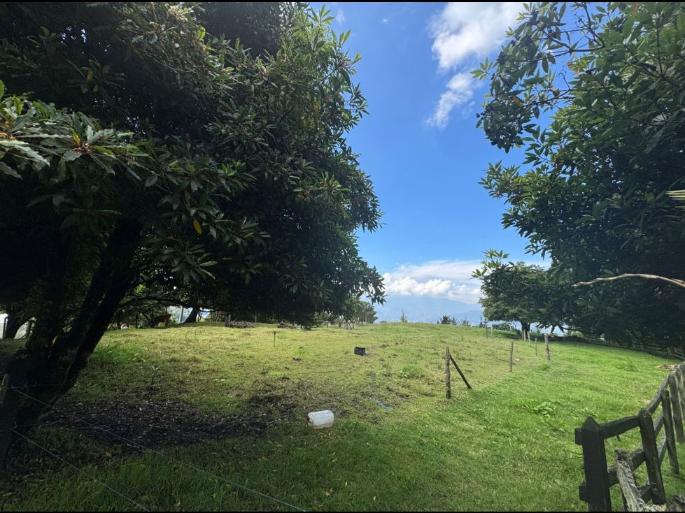 Lote en venta Antioquia Envigado La Mesa 7824 m2 Habitaciones 0 Baños 0 Garajes 0 Precio $2378496000