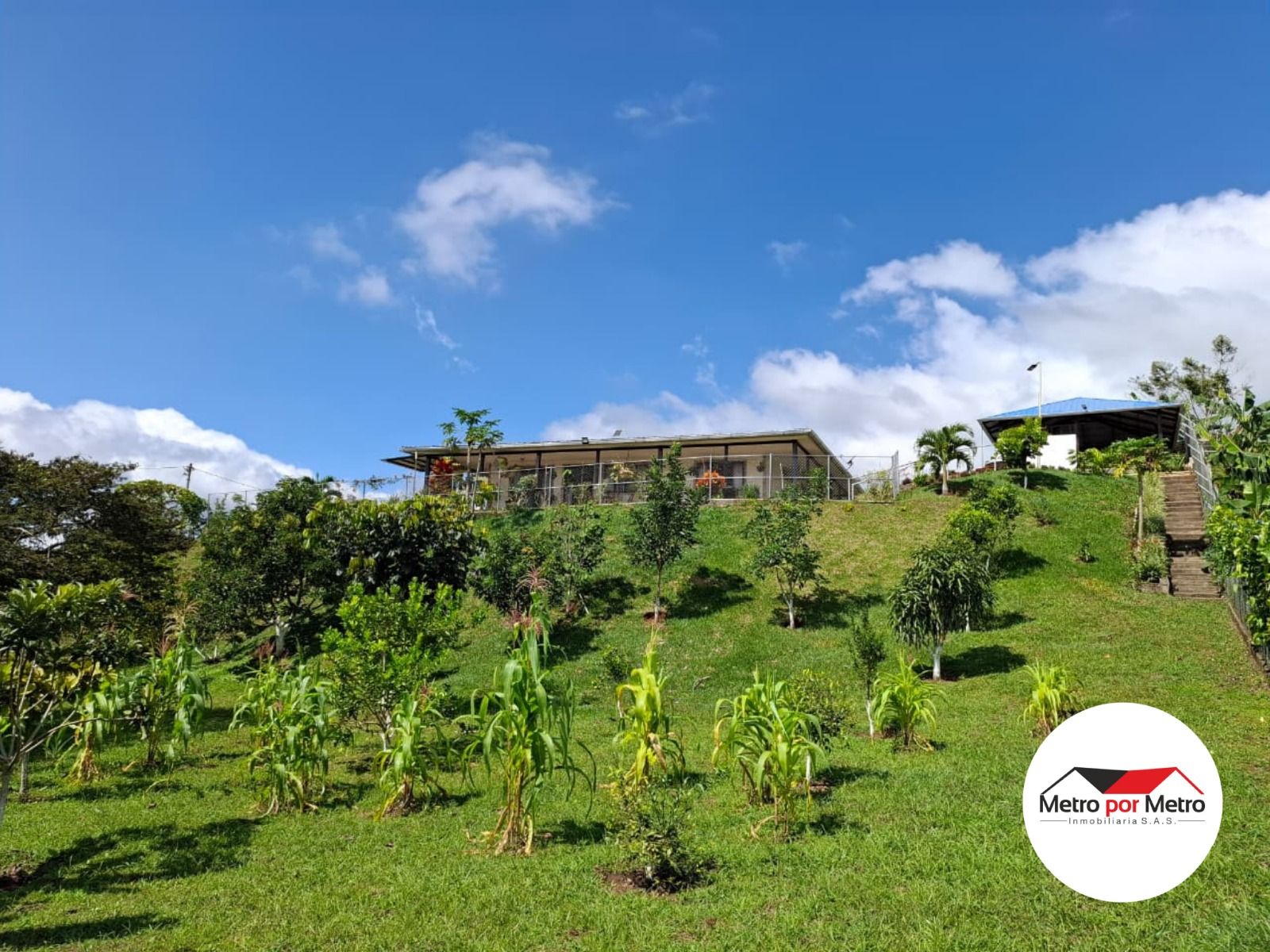 Finca en venta Valle Del Cauca Dagua Otros 130 m2 Habitaciones 3 Baños 3 Garajes 3 Precio $520000000