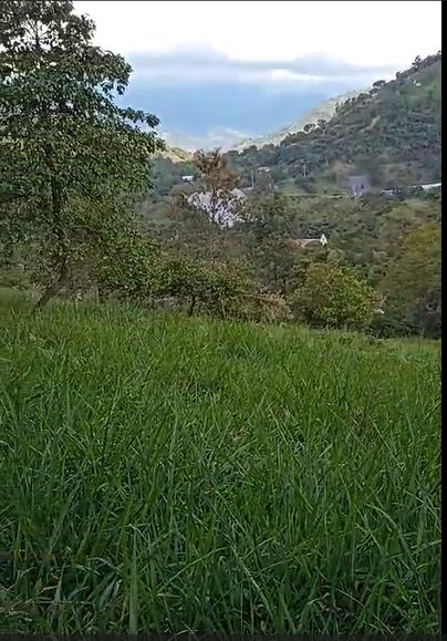 Lote en venta Cundinamarca Cachipay Cachipay 7 m2 Habitaciones 0 Baños 0 Garajes 0 Precio $320000000