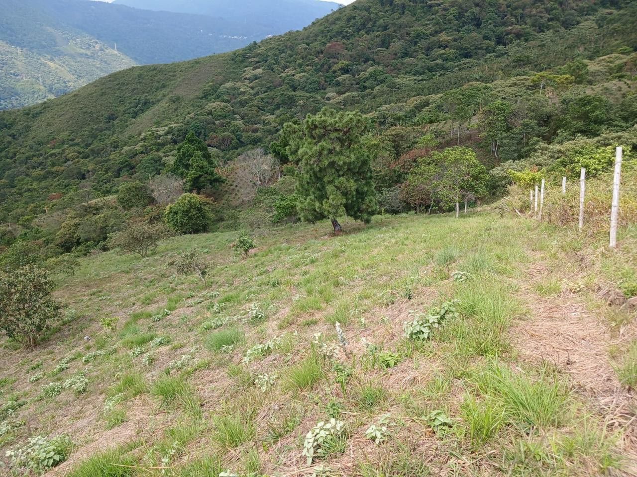 Lote en venta Valle Del Cauca Cali Arboledas 6400 m2 Habitaciones 0 Baños 0 Garajes 0 Precio $225000000