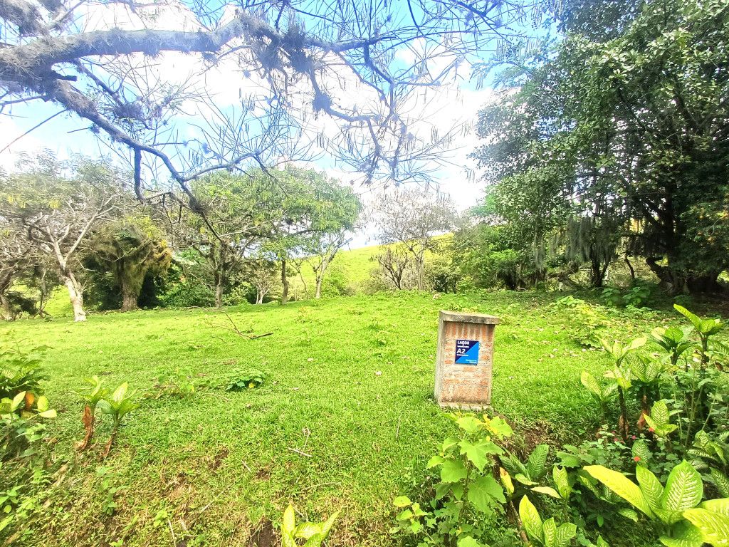 Lote en venta Valle Del Cauca Palmira Palmira 0 m2 Habitaciones 0 Baños 0 Garajes 0 Precio $430000000