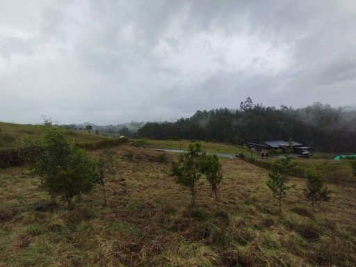 Lote en venta Antioquia El Retiro El Retiro 1750 m2 Habitaciones 0 Baños 0 Garajes 0 Precio $950000000