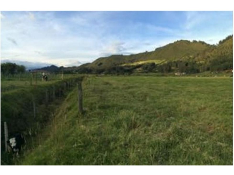 Lote en venta Cundinamarca Tenjo Tenjo 3100 m2 Habitaciones 0 Baños 0 Garajes 0 Precio $400000000