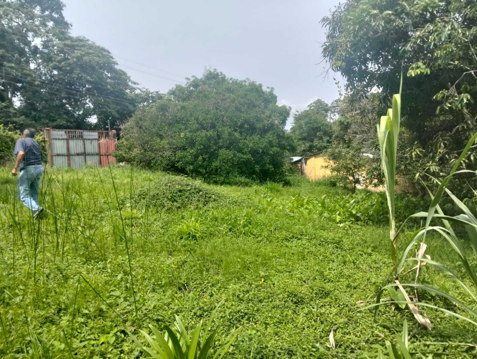 Lote en venta Cundinamarca La Mesa La Mesa 0 m2 Habitaciones 0 Baños 0 Garajes 0 Precio $350000000