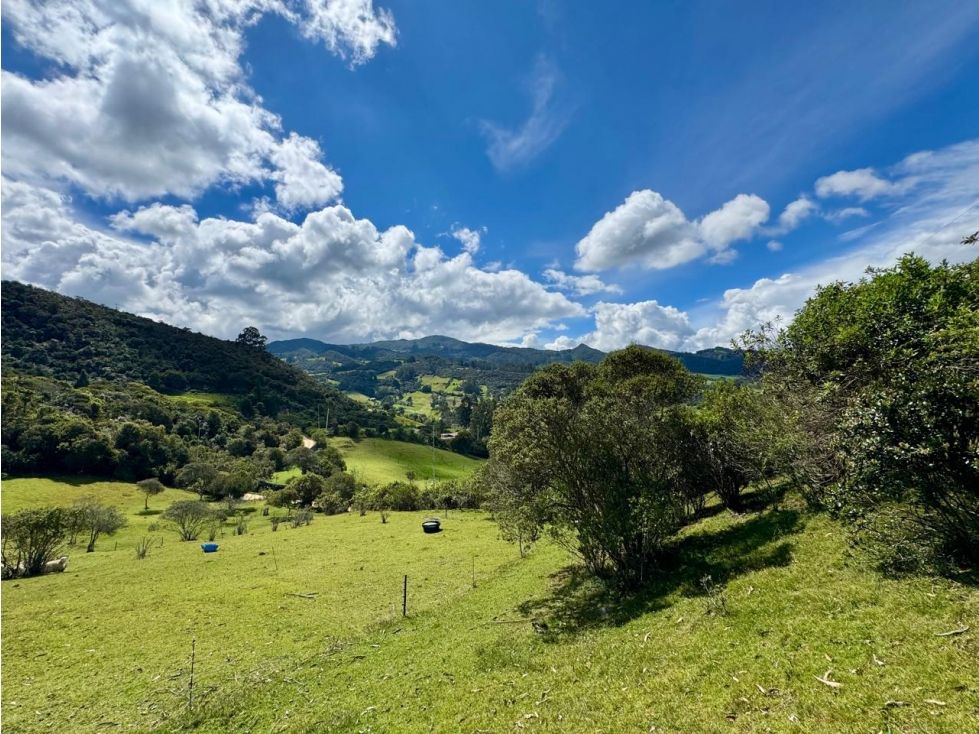 Lote en venta Cundinamarca Guasca Guasca 14394 m2 Habitaciones 0 Baños 0 Garajes 0 Precio $600000000