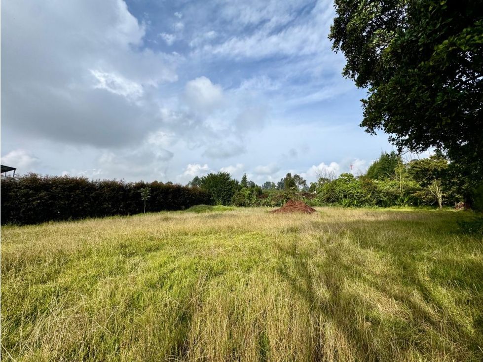 Lote en venta Cundinamarca Cajicá Centro 1700 m2 Habitaciones 0 Baños 0 Garajes 0 Precio $750000000