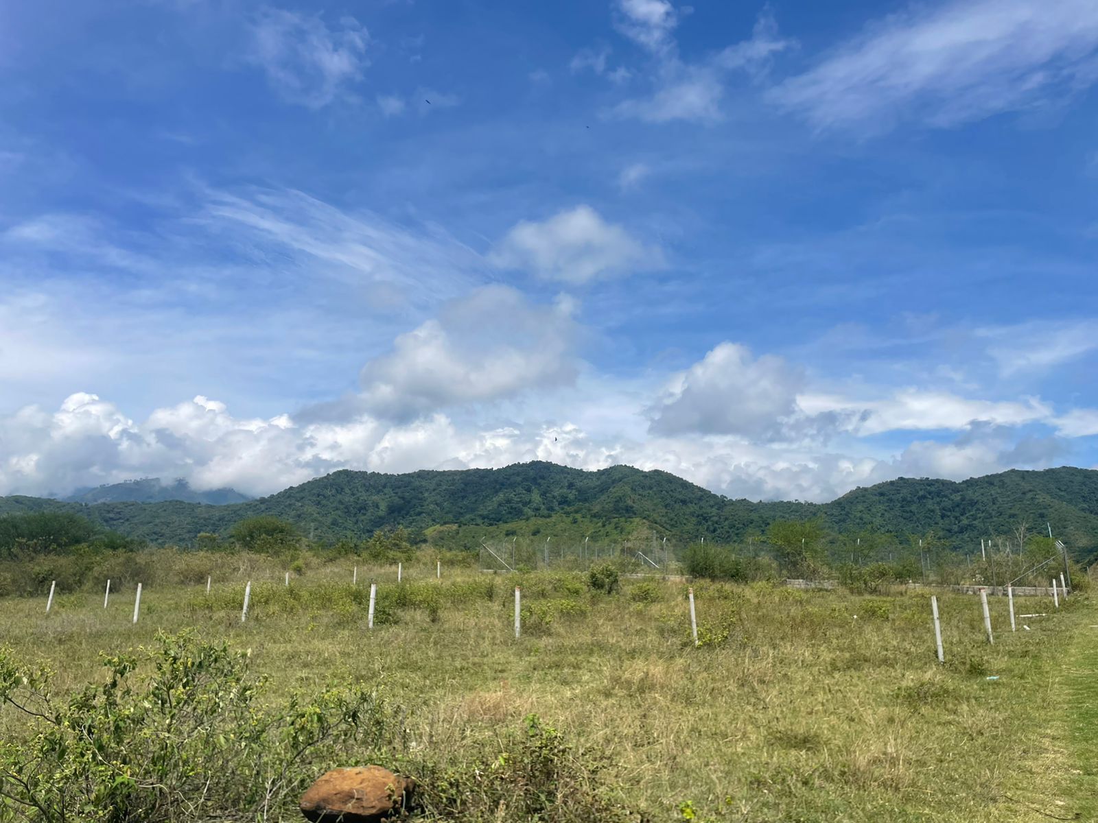 Lote en venta Tolima Ibagué Vereda Chucuni 900 m2 Habitaciones 0 Baños 0 Garajes 0 Precio $160000000