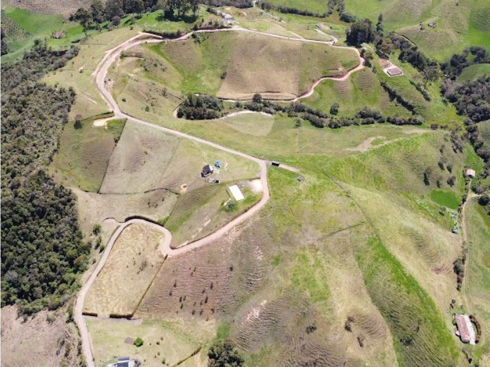 Lote en venta Antioquia Don Matías Don Matias 3000 m2 Habitaciones 0 Baños 0 Garajes 0 Precio $120000000