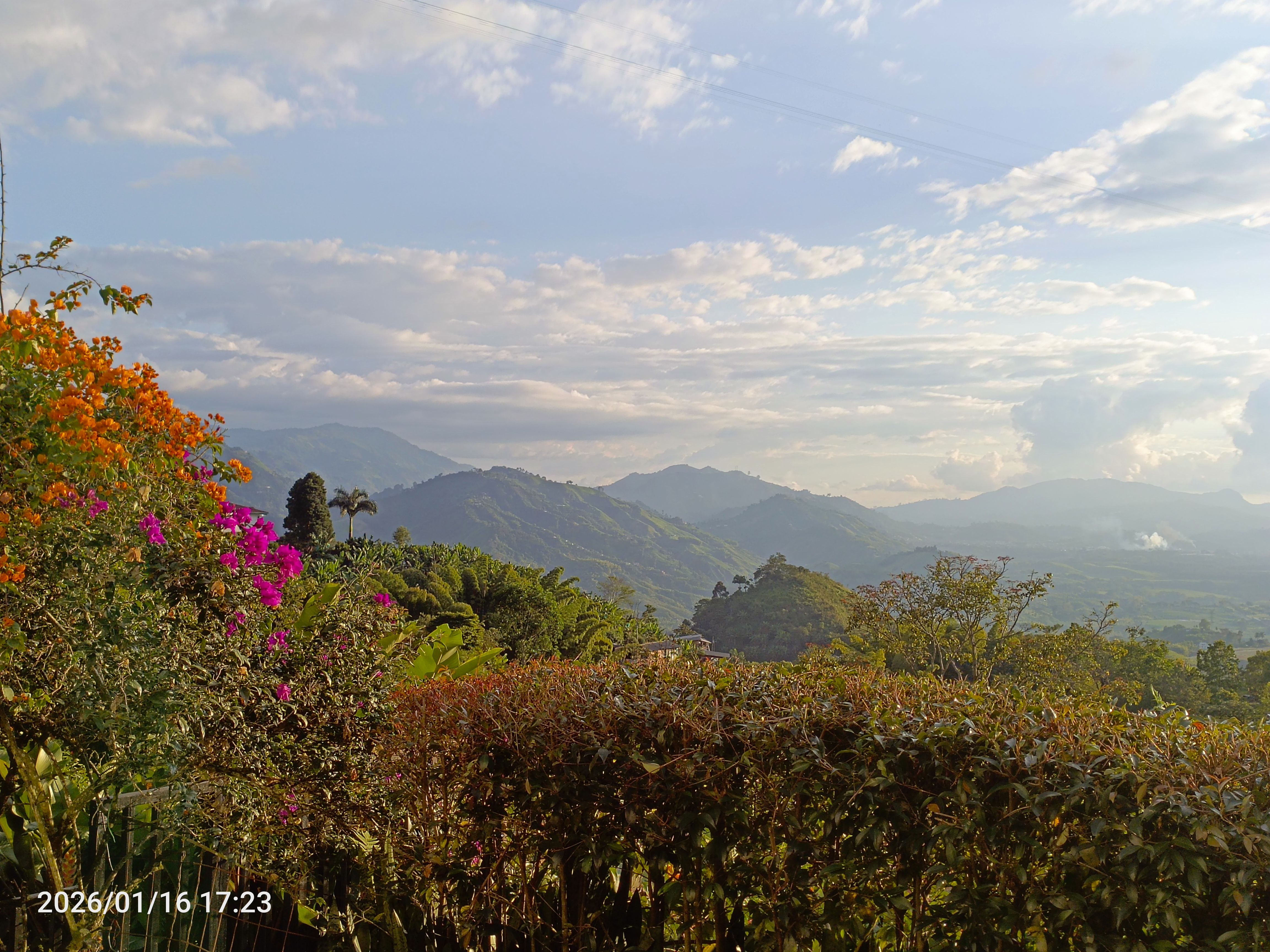 Casa en venta Caldas Manizales Vereda San Peregrino 1945 m2 Habitaciones 4 Baños 4 Garajes 4 Precio $1950000000