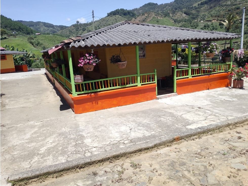 Finca en venta Antioquia Jericó Jericó 220 m2 Habitaciones 5 Baños 3 Garajes 10 Precio $600000000
