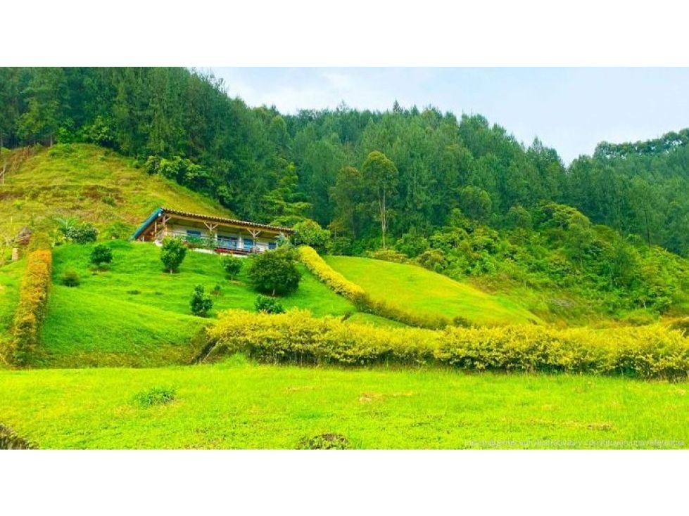 Lote en venta Antioquia Jardín Jardín 600 m2 Habitaciones 0 Baños 0 Garajes 0 Precio $280000000