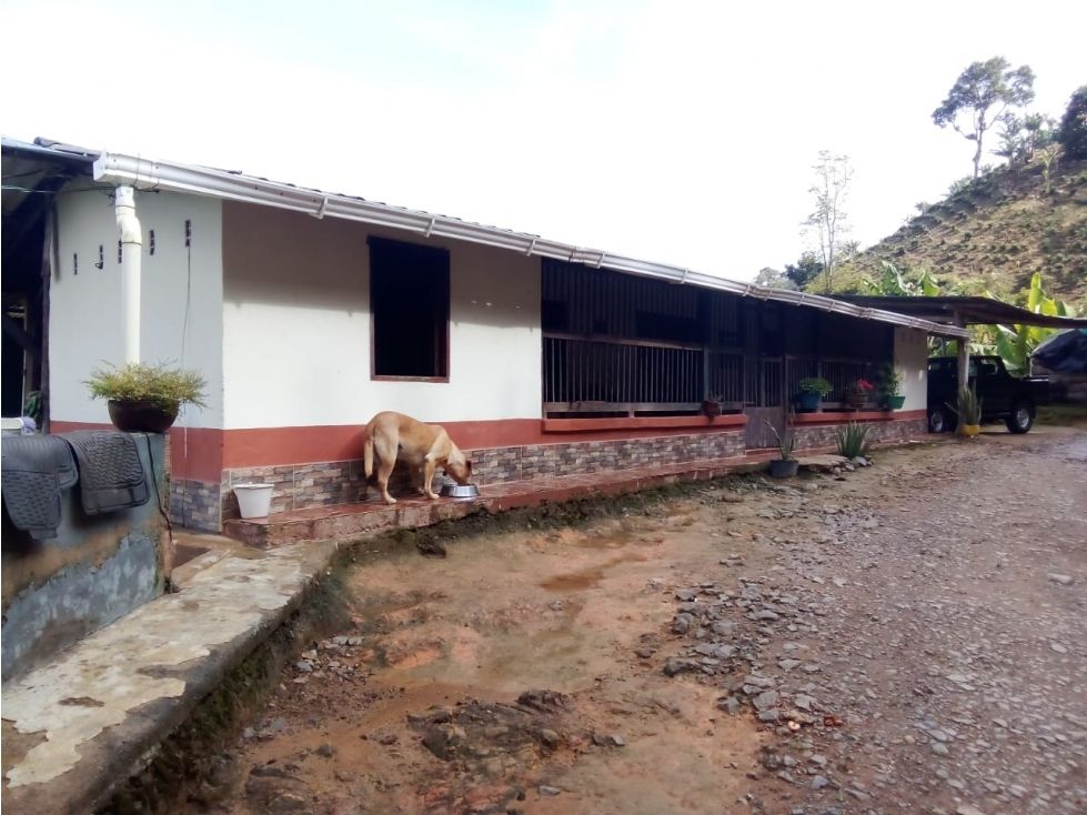 Finca en venta Antioquia Jardín Jardín 200 m2 Habitaciones 3 Baños 2 Garajes 4 Precio $350000000