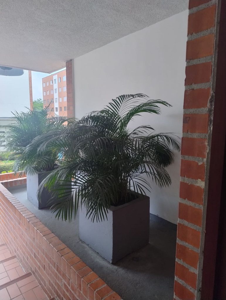 Apartamento en arriendo Valle Del Cauca Cali Ciudad Real 52 m2 Habitaciones 1 Baños 1 Garajes 1 Precio $1000000