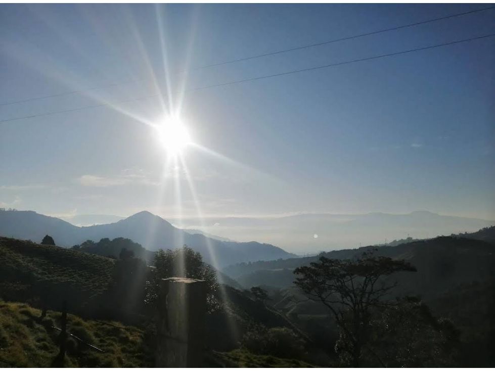 Lote en venta Antioquia La Ceja La Ceja 65 m2 Habitaciones 0 Baños 0 Garajes 0 Precio $230000000