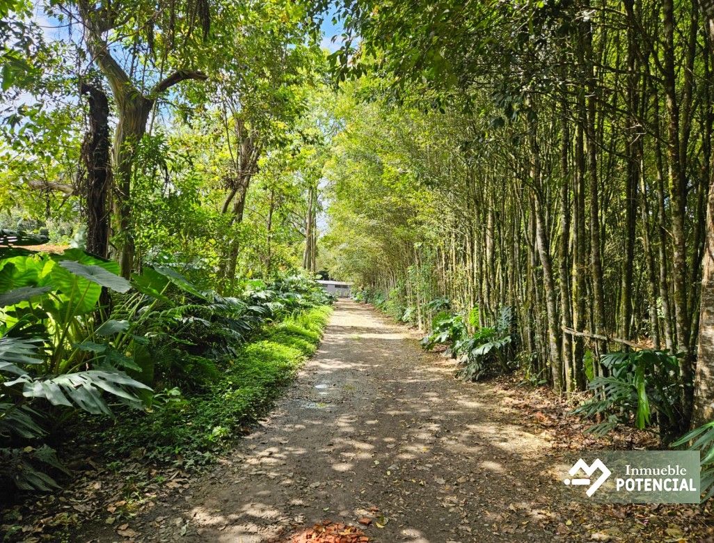 Casa Campestre en arriendo Antioquia Rionegro Cuatro Esquinas 86 m2 Habitaciones 2 Baños 2 Garajes 2 Precio $5800000