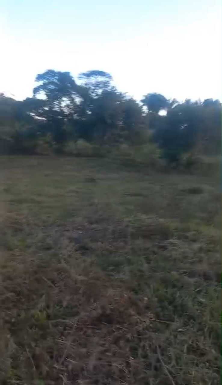 Lote en venta Casanare Yopal San Martín 20 m2 Habitaciones 0 Baños 0 Garajes 0 Precio $400000000