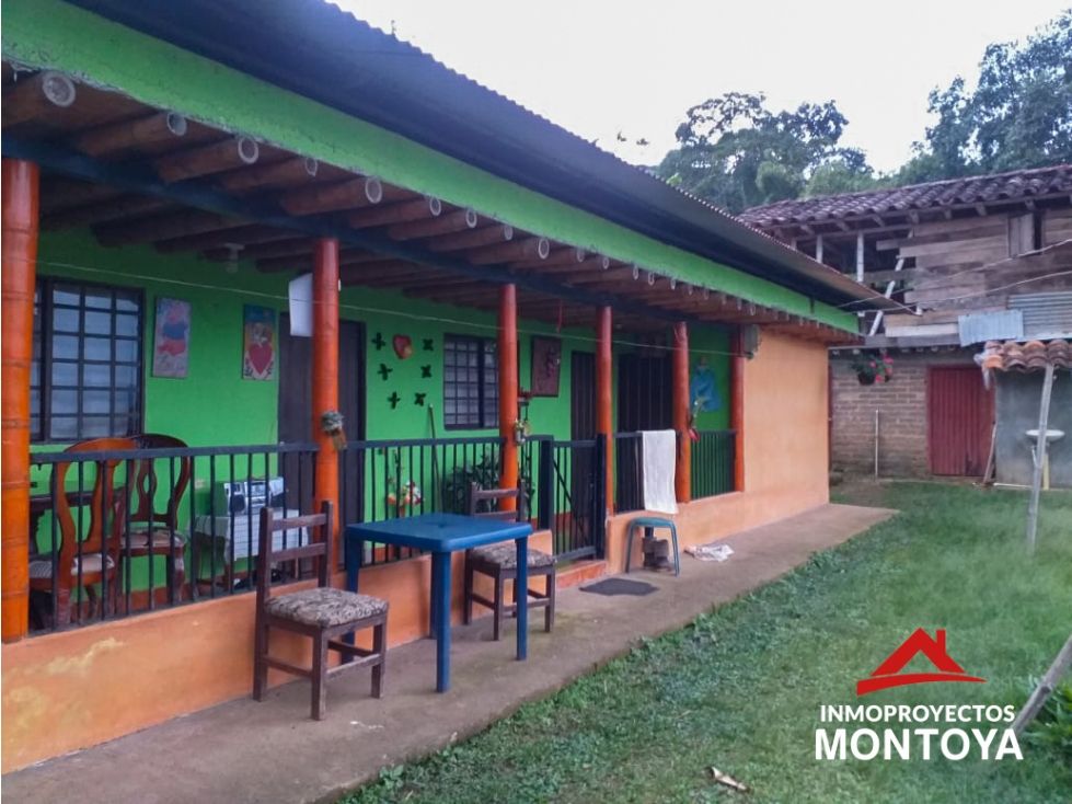 Finca en venta Risaralda Pereira Pereira 0 m2 Habitaciones 0 Baños 0 Garajes 0 Precio $380000000