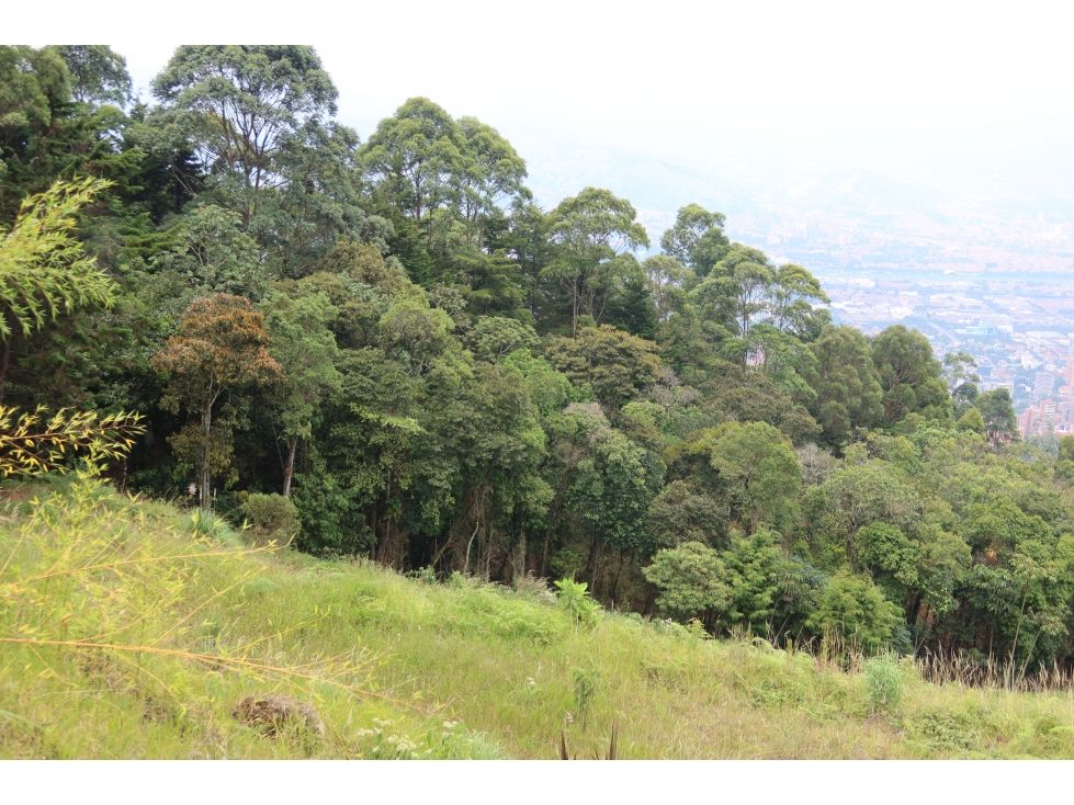 Lote en venta Antioquia Medellín Las Palmas 21405 m2 Habitaciones 0 Baños 0 Garajes 0 Precio $2500000000