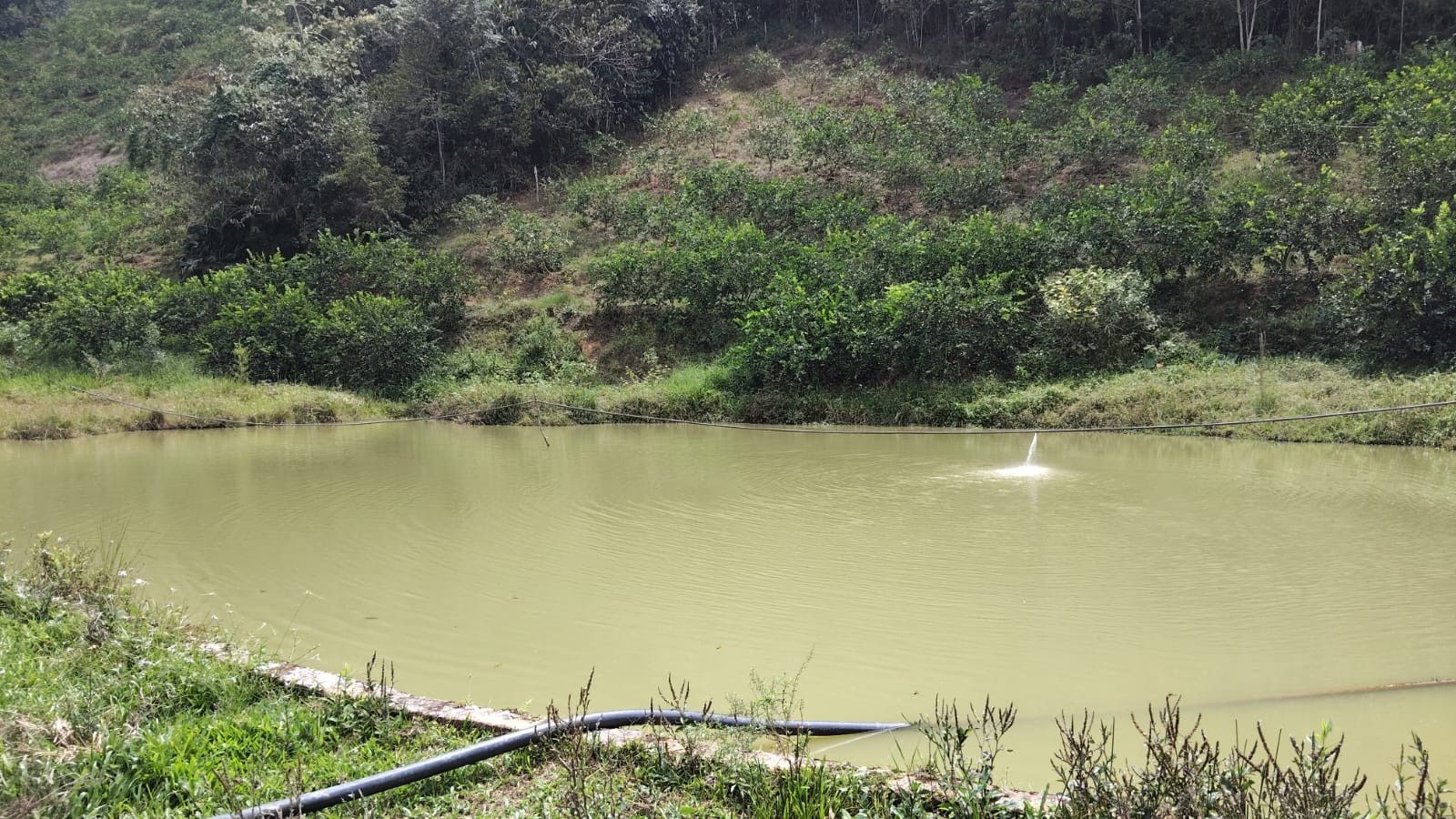 Finca en venta Santander Lebríja Lebríja 17 m2 Habitaciones 3 Baños 2 Garajes 0 Precio $1200000000