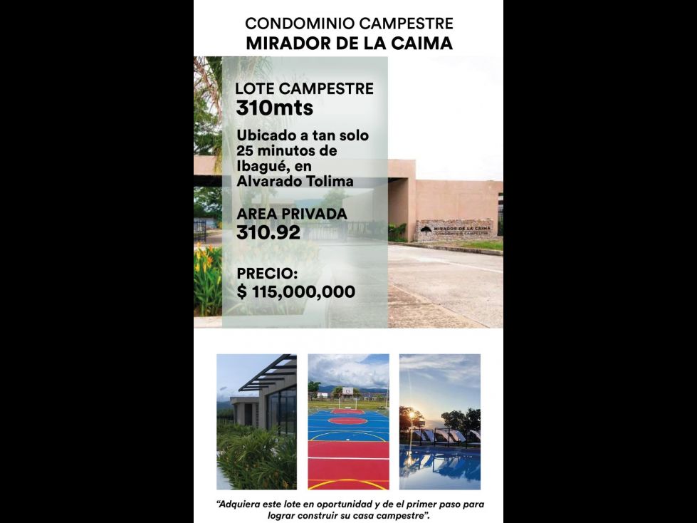 Lote en venta Tolima Alvarado Alvarado 310 m2 Habitaciones 0 Baños 0 Garajes 0 Precio $115000000