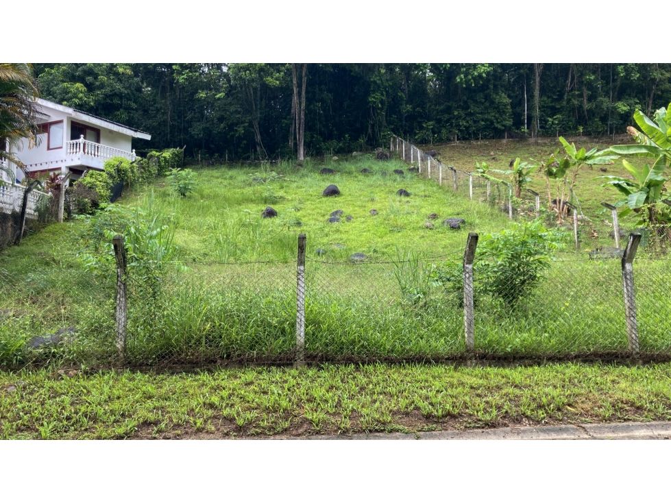 Lote en venta Tolima Melgar Otros 1 m2 Habitaciones 0 Baños 0 Garajes 3 Precio $208000000