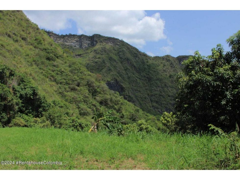 Lote en venta Cundinamarca La Mesa La Mesa 1100 m2 Habitaciones 0 Baños 0 Garajes 0 Precio $95000000