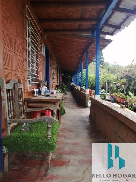 Casa en venta Antioquia Guarne Centro 7268 m2 Habitaciones 3 Baños 2 Garajes 0 Precio $900000000