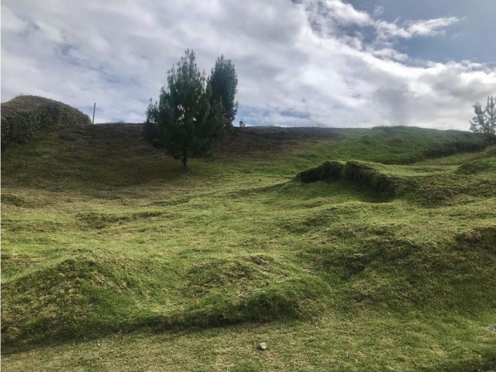 Lote en venta Antioquia Envigado Envigado 1220 m2 Habitaciones 0 Baños 0 Garajes 0 Precio $900000000