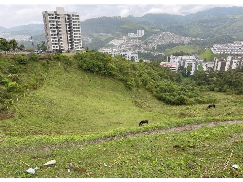 Lote en venta Caldas Manizales Manizales 3450 m2 Habitaciones 0 Baños 0 Garajes 0 Precio $3000000000