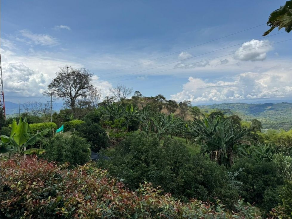 Lote en venta Caldas Manizales Manizales 1000 m2 Habitaciones 0 Baños 0 Garajes 0 Precio $150000000