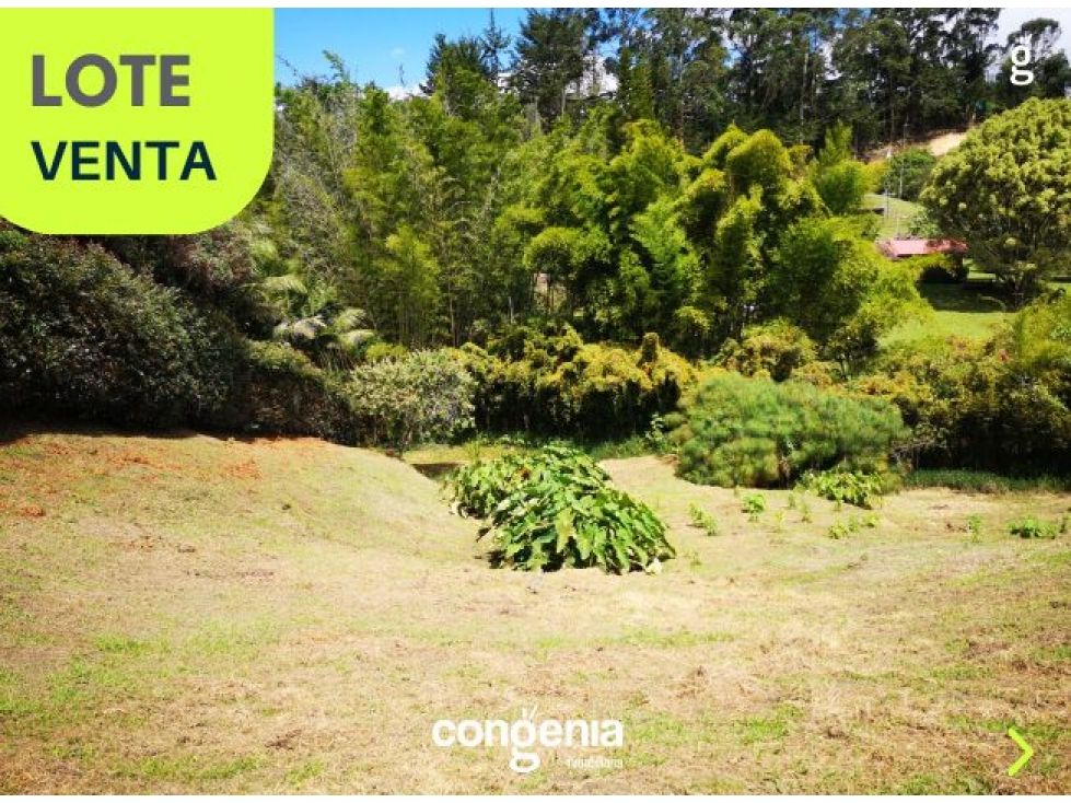 Lote en venta Antioquia El Carmen De Viboral El Carmen De Viboral 2228 m2 Habitaciones 0 Baños 0 Garajes 0 Precio $510000000