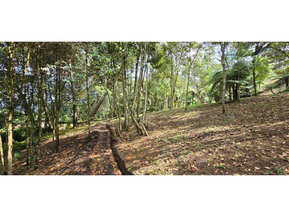 Lote en venta Antioquia La Ceja La Ceja 5718 m2 Habitaciones 0 Baños 0 Garajes 0 Precio $860000000