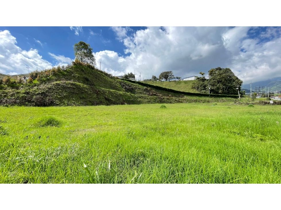 Lote en venta Caldas Manizales Ub Valles De La Alhambra 5500 m2 Habitaciones 0 Baños 0 Garajes 0 Precio $4200000000