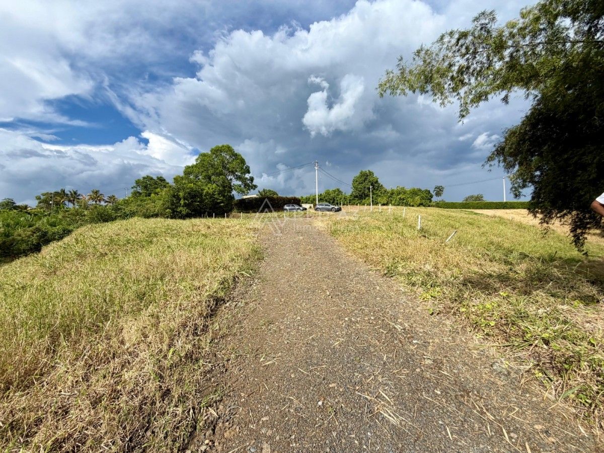 Lote en venta Risaralda Pereira Pereira 0 m2 Habitaciones 0 Baños 0 Garajes 0 Precio $1116150000