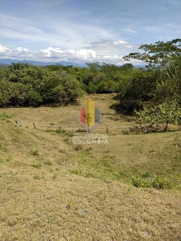 Finca en venta Tolima San Luis San Luis 145 m2 Habitaciones 3 Baños 1 Garajes 1 Precio $730000000