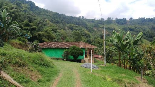 Finca en venta Risaralda Pereira Pereira 300 m2 Habitaciones 9 Baños 2 Garajes 10 Precio $580000000
