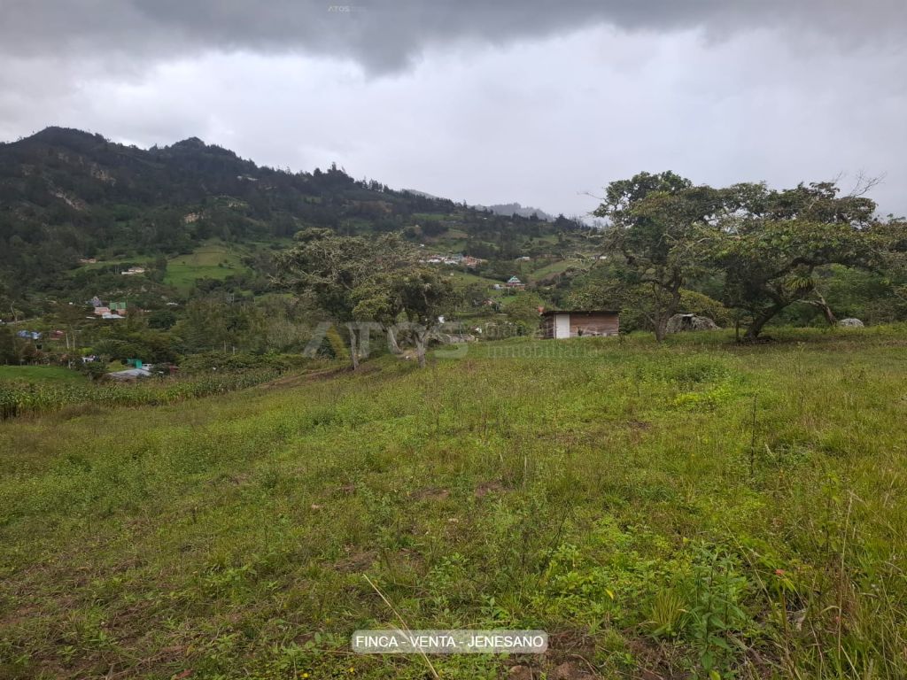 Finca en venta Boyacá Jenesano Jenesano 0 m2 Habitaciones 0 Baños 0 Garajes 0 Precio $800000000