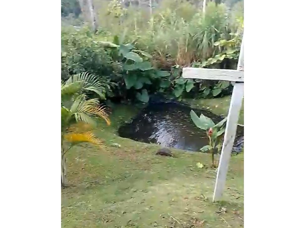 Finca en venta Antioquia Andes Andes 180 m2 Habitaciones 3 Baños 2 Garajes 0 Precio $230000000