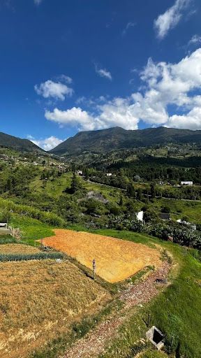 Lote en venta Antioquia Medellín Medellín 1500 m2 Habitaciones 0 Baños 0 Garajes 0 Precio $430000000