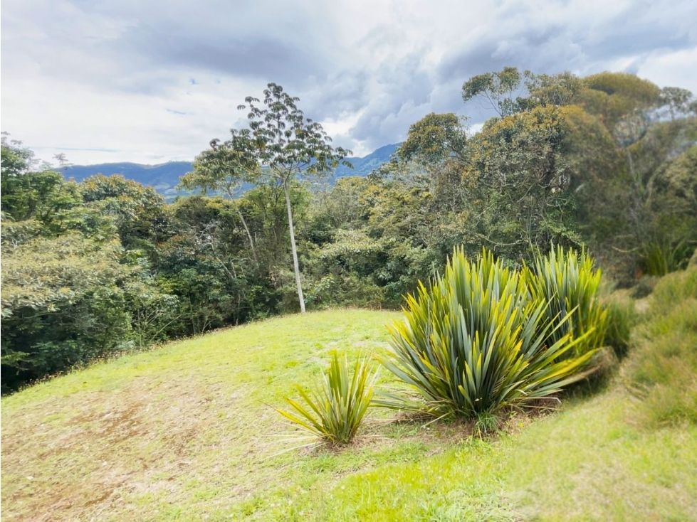 Lote en venta Antioquia La Ceja La Ceja 2750 m2 Habitaciones 0 Baños 0 Garajes 0 Precio $690000000
