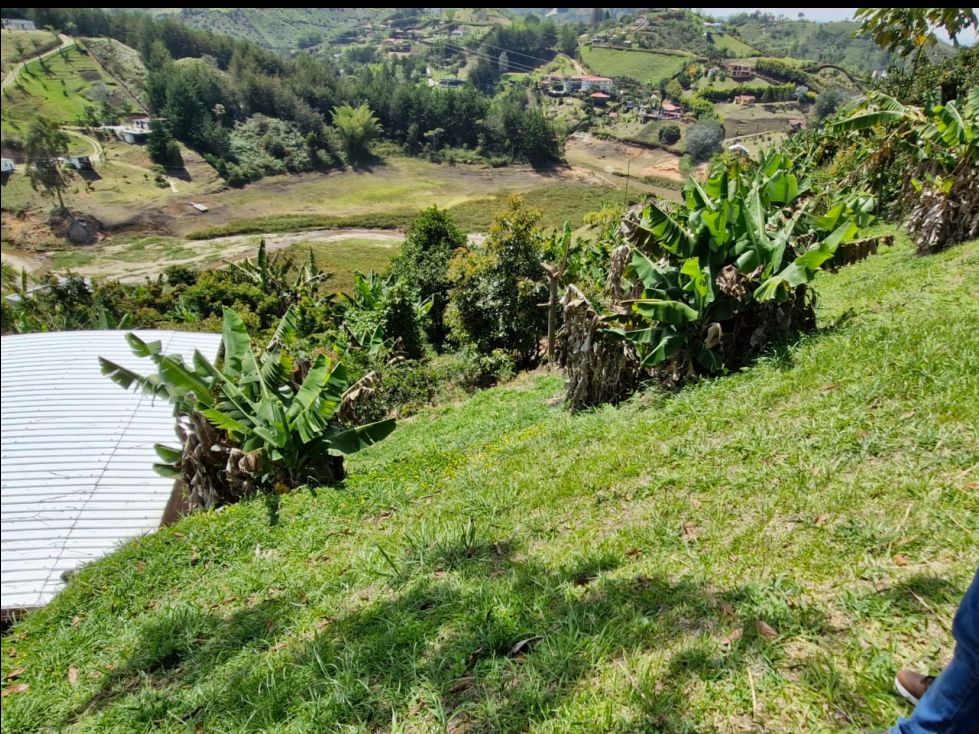Lote en venta Antioquia Guatape Guatape 1000 m2 Habitaciones 0 Baños 0 Garajes 0 Precio $310000000