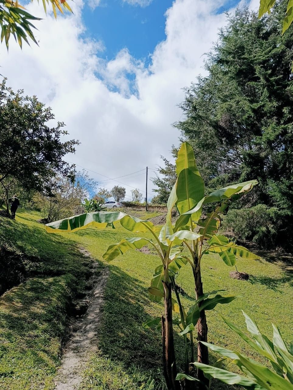 Finca en venta Antioquia El Carmen De Viboral El Carmen De Viboral 120 m2 Habitaciones 2 Baños 1 Garajes 0 Precio $299000000