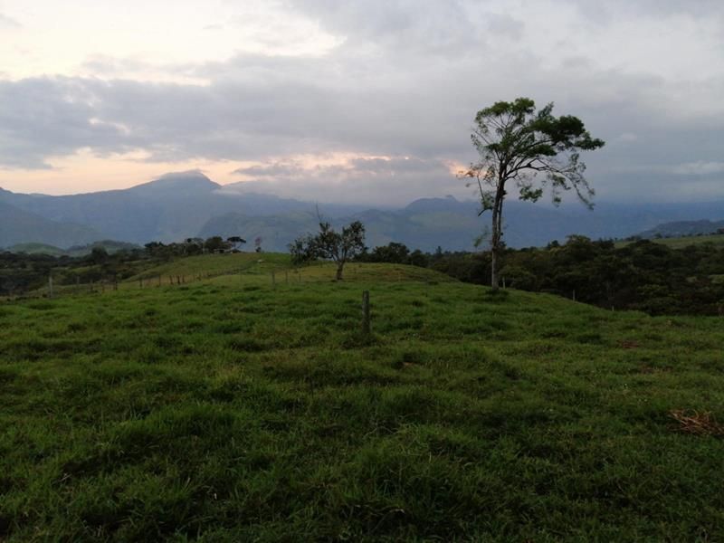 Lote en venta Santander Bucaramanga Bucaramanga 0 m2 Habitaciones 0 Baños 0 Garajes 0 Precio $420000000