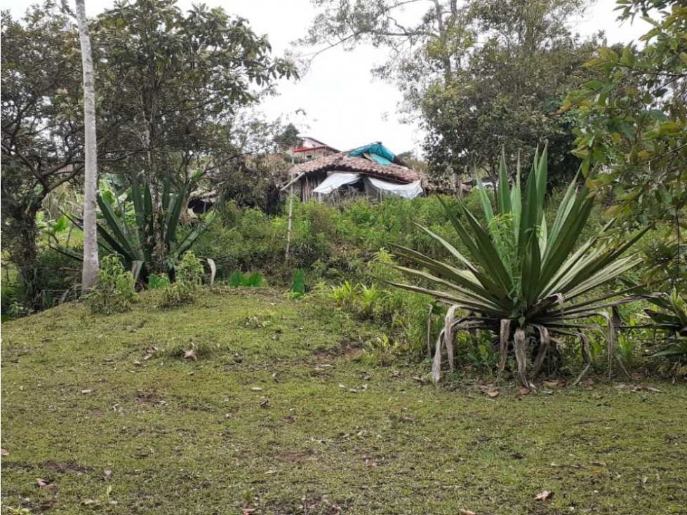 Lote en venta Antioquia Jardín Jardín 0 m2 Habitaciones 0 Baños 0 Garajes 0 Precio $110000000