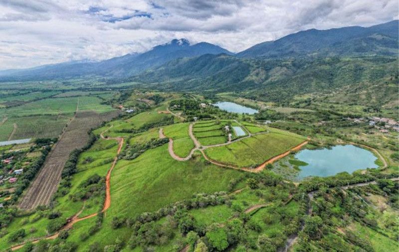 Lote en venta Valle Del Cauca Palmira Palmira 3008 m2 Habitaciones 0 Baños 0 Garajes 0 Precio $500000000