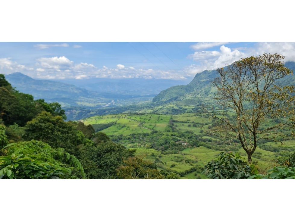 Finca en venta Antioquia Jericó Jericó 0 m2 Habitaciones 4 Baños 4 Garajes 5 Precio $4600000000
