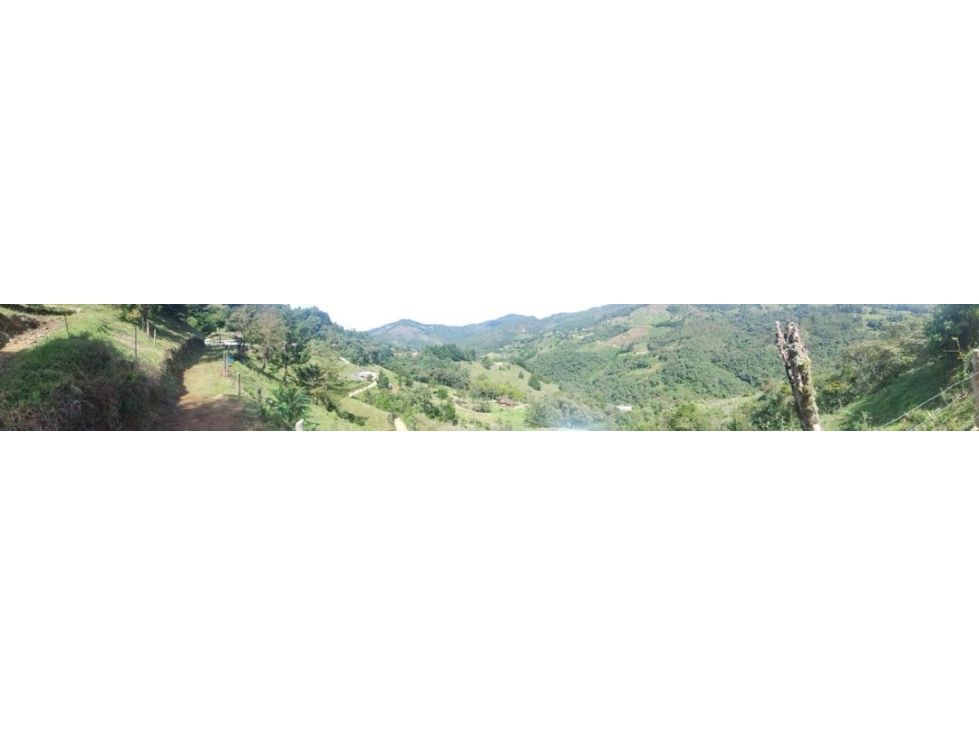 Lote en venta Antioquia El Retiro El Retiro 0 m2 Habitaciones 0 Baños 0 Garajes 0 Precio $450000000